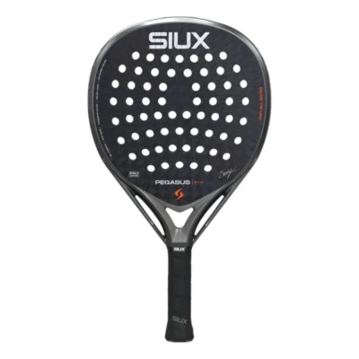 Siux Pegasus Pro 2026 Storm Grey